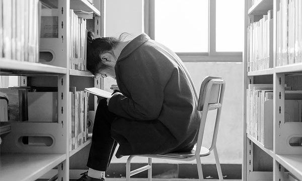 手机号轰炸机网页版